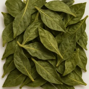 Ashwagandha (Withania somnifera)