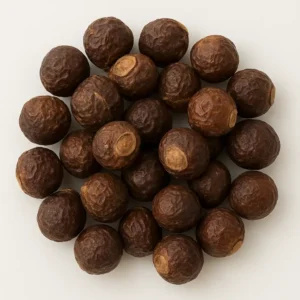 Dry Reetha/Soapnut (Sapindus mukorossi)