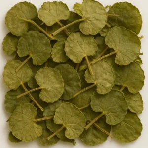 Gotukola (Centella asiatica)
