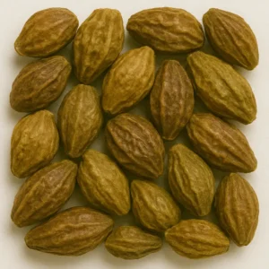 Haritaki (Terminalia chebula)