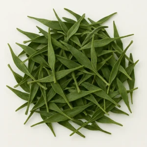 Kalmegh (Andrographis paniculata)