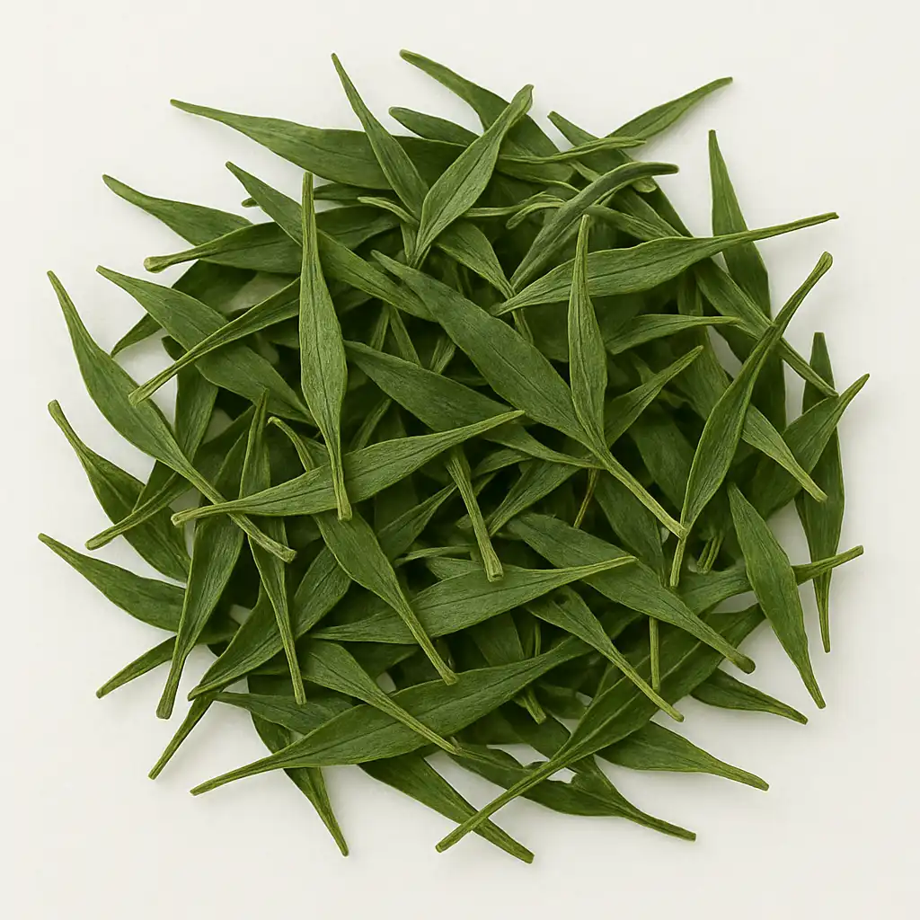 Kalmegh (Andrographis paniculata)