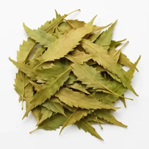 Neem (Azadirachta indica)