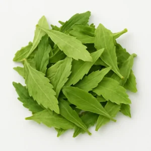 Stevia (Stevia rebaudiana)